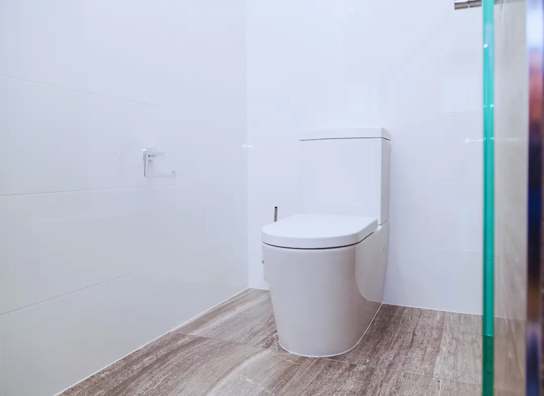 Remplacement de wc Colomars